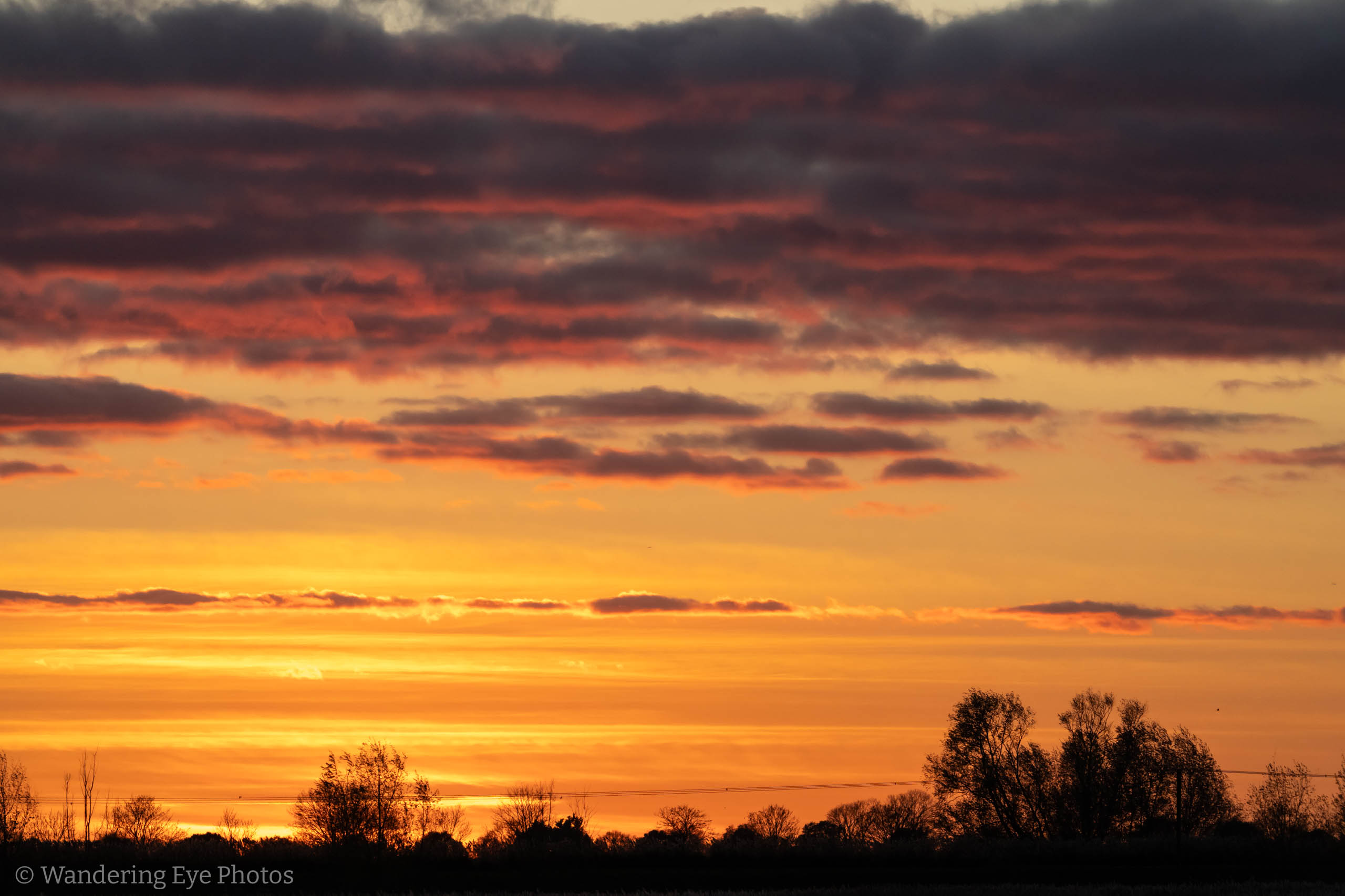 11.24 16.02.28   DSC02729